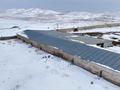 Сельское хозяйство · 2000 м² за ~ 260 млн ₸ в Конаеве — фото 3