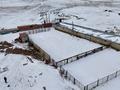 Сельское хозяйство · 2000 м² за ~ 260 млн ₸ в Конаеве — фото 5