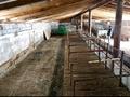Сельское хозяйство · 2000 м² за ~ 260 млн ₸ в Конаеве — фото 6