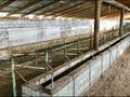 Сельское хозяйство · 2000 м² за ~ 260 млн ₸ в Конаеве — фото 7