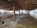 Сельское хозяйство · 2000 м² за ~ 260 млн ₸ в Конаеве — фото 8