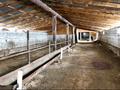 Сельское хозяйство · 2000 м² за ~ 260 млн ₸ в Конаеве — фото 9