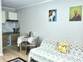2-бөлмелі пәтер · 40 м² · 1/5 қабат, Арнасай 7а, бағасы: 18 000 ₸ в Астане, Есильский р-н — фото 8