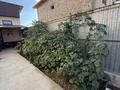 Жеке үй · 6 бөлме · 170 м² · 8.5 жүзд., Түймебай, Ғабдуллин 1, бағасы: 40 млн ₸ в Туймебая — фото 21
