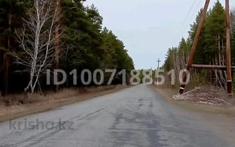Участок · 7 соток, Щербаково — Сосновый бор за 7.5 млн 〒 в Костанайской обл. — фото 2