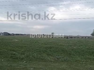 Участок · 1 га, Жалкамыс за 38 млн ₸