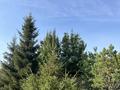 Жеке үй · 5 бөлме · 144 м² · 25 жүзд., Шамши Калдаякова 8/2, бағасы: 75 млн ₸ в Акколе — фото 28