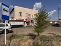 Еркін · 1000 м², бағасы: 300 млн ₸ в Астане, Нура р-н — фото 3