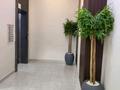 1-бөлмелі пәтер · 45 м² · 3/7 қабат, Омарова 2, бағасы: 30 млн ₸ в Астане, Нура р-н — фото 7