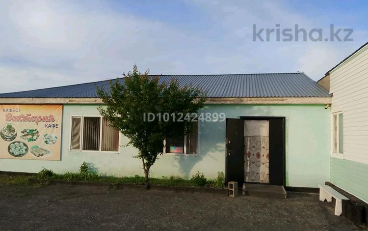 Придорожное кафе · 50 м² за 10 млн ₸ в Ушарале — фото 5