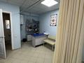 Еркін, медорталықтар мен дәріханалар · 350 м², бағасы: 135 млн ₸ в Астане, Сарыарка р-н — фото 19