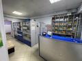 Еркін, медорталықтар мен дәріханалар · 350 м², бағасы: 135 млн ₸ в Астане, Сарыарка р-н — фото 34