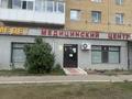 Еркін, медорталықтар мен дәріханалар · 350 м², бағасы: 135 млн ₸ в Астане, Сарыарка р-н — фото 5