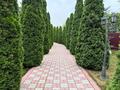 Жеке үй · 5 бөлме · 240 м² · 12.5 жүзд., Айгерім-1 ш/а., бағасы: 120 млн ₸ в Алматы, Алатауский р-н — фото 4