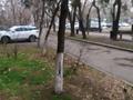 Магазины и бутики, склады · 7 м² за 80 000 ₸ в Алматы, Ауэзовский р-н — фото 3