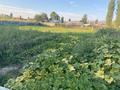 Жеке үй · 5 бөлме · 150 м² · 20 жүзд., Арна 59, бағасы: 35 млн ₸ в Гродеково — фото 31