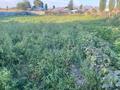 Жеке үй · 5 бөлме · 150 м² · 20 жүзд., Арна 59, бағасы: 35 млн ₸ в Гродеково — фото 33