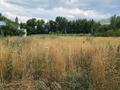 Отдельный дом · 3 комнаты · 44 м² · 35 сот., Ауэзова 60 за 25 млн ₸ в Турген — фото 5
