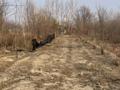 Участок · 3 га, Аркабая за 84 млн ₸ в Байсерке