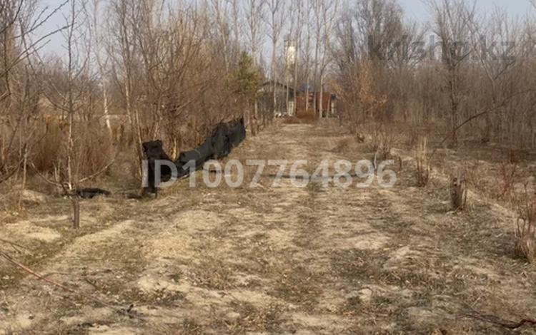 Участок · 3 га, Аркабая за 84 млн ₸ в Байсерке — фото 2