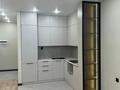 2-бөлмелі пәтер · 50 м² · 1 қабат, Нұркент ш/а 11, бағасы: 33.5 млн ₸ в Алматы, Алатауский р-н — фото 5