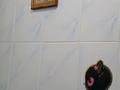 2-бөлмелі пәтер · 42 м² · 3/5 қабат, мкр Таугуль — Сүлейменова, бағасы: 240 000 ₸ в Алматы, Ауэзовский р-н — фото 20