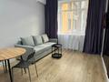2-комнатная квартира · 40 м² · 4/9 этаж, Жошы хан 27 — Керей Жанибек Президентский парк за 250 000 ₸ в Астане, Есильский р-н — фото 5