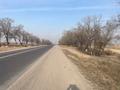 Жер телімі · 50 сотық, Улан, бағасы: 45 млн ₸