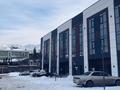 5-комнатная квартира · 370 м² · 1/3 этаж, улица 4-ая 3 — ПО ЛУЧШЕЙ ЦЕНЕ за 220 млн ₸ в Алматы — фото 10