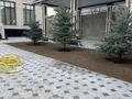 Жеке үй · 10 бөлме · 350 м² · 8 сот., мкр Нуртас, бағасы: 185 млн ₸ в Шымкенте, Каратауский р-н — фото 7