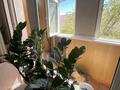 2-бөлмелі пәтер · 48.9 м² · 4/5 қабат, 4 — Базар Жетису, бағасы: 22 млн ₸ в Конаеве