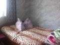 Отдельный дом · 4 комнаты · 78 м² · 6 сот., мкр Шанырак-2 за 42 млн ₸ в Алматы, Алатауский р-н — фото 4