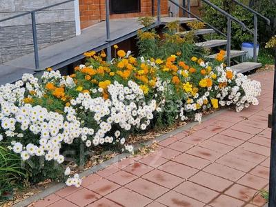 Офисы, салоны красоты, кабинеты и рабочие места, студии · 89.7 м² за 201 825 〒 в Житикаре