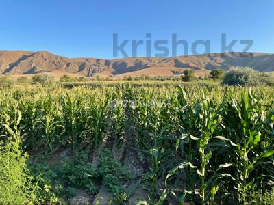 Сельское хозяйство • 55 м² за 500 млн 〒 в Каратуруке
