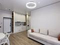 2-комнатная квартира · 40 м² · 2/10 этаж, Алихан Бокейхан 13 за 260 000 ₸ в Астане, Есильский р-н