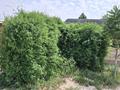 Отдельный дом · 4 комнаты · 140 м² · 10 сот., Маңғыстау -4 716 — Байтерек тойханаға жақын орналасқана за 18 млн ₸ в Мангышлаке — фото 21