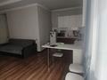 1-бөлмелі пәтер · 65 м² · 1/5 қабат, Дружбы народов, бағасы: 250 000 ₸ в Усть-Каменогорске, Ульбинский — фото 5
