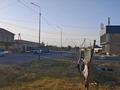 Отдельный дом · 3 комнаты · 250 м² · 8 сот., Керима Тленшина — Пахтакор за 50 млн ₸ в Шымкенте, Каратауский р-н — фото 23