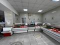 Еркін, дүкендер мен бутиктер · 241.7 м², бағасы: 190 млн ₸ в Костанае — фото 4