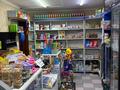 Магазины и бутики · 70 м² за 350 000 ₸ в Шымкенте, Аль-Фарабийский р-н — фото 9