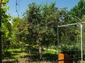 Жеке үй · 5 бөлме · 430 м² · 13.5 жүзд., Алтынсарина 9, бағасы: 195 млн ₸ в Бельбулаке (Мичурино) — фото 10