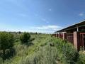 Отдельный дом · 4 комнаты · 270 м² · 700 сот., Карасу 46а за 195 млн ₸ в Косозен — фото 4