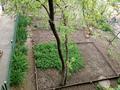 Часть дома · 4 комнаты · 40 м² · 4.5 сот., Ташенова 71 — Ресторан Парша за 150 000 ₸ в Шымкенте