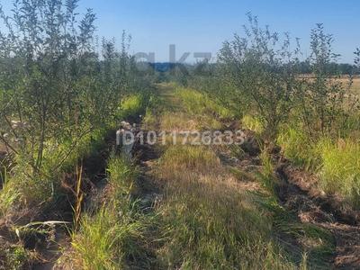 Участок · 50 соток, Байсерке за 12 млн ₸