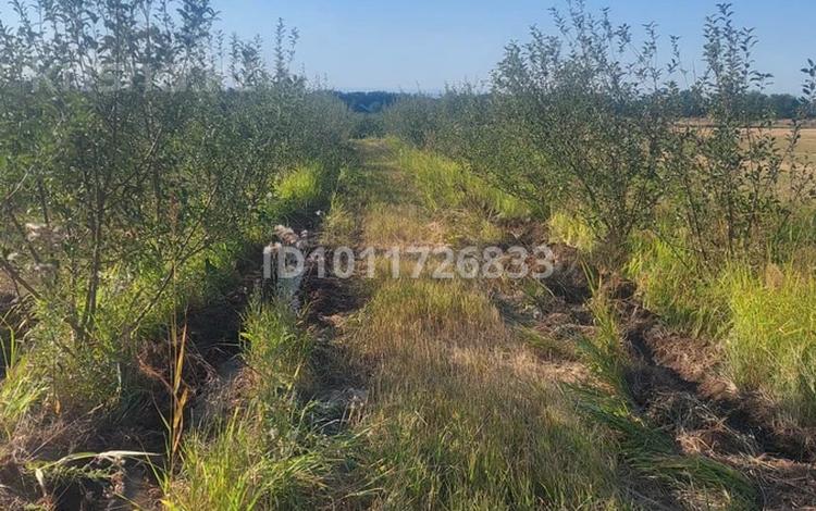 Жер телімі · 50 сотық, Байсерке, бағасы: 12 млн ₸ — фото 2