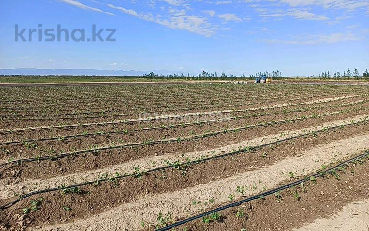 Участок · 10 га, Между Ащибулак и Таукаратурук за 15 млн 〒 в Каратуруке — фото 5