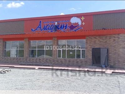Детский развлекательный центр. · 500 м², бағасы: 80 млн ₸ в Баянауле