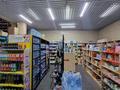 Магазины и бутики, общепит, салоны красоты, медцентры и аптеки, образование, развлечения · 260 м² за 275 млн ₸ в Алматы, Бостандыкский р-н — фото 21
