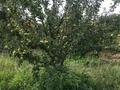 Дача · 1 комната · 40 м² · 20 сот., Бугорки 27 за 8 млн ₸ в Атырау — фото 5
