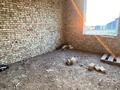 Отдельный дом · 5 комнат · 250 м² · 8 сот., мкр Нуршуак, Қайранкөл — 149 мектеп за 31 млн ₸ в Шымкенте, Абайский р-н — фото 20